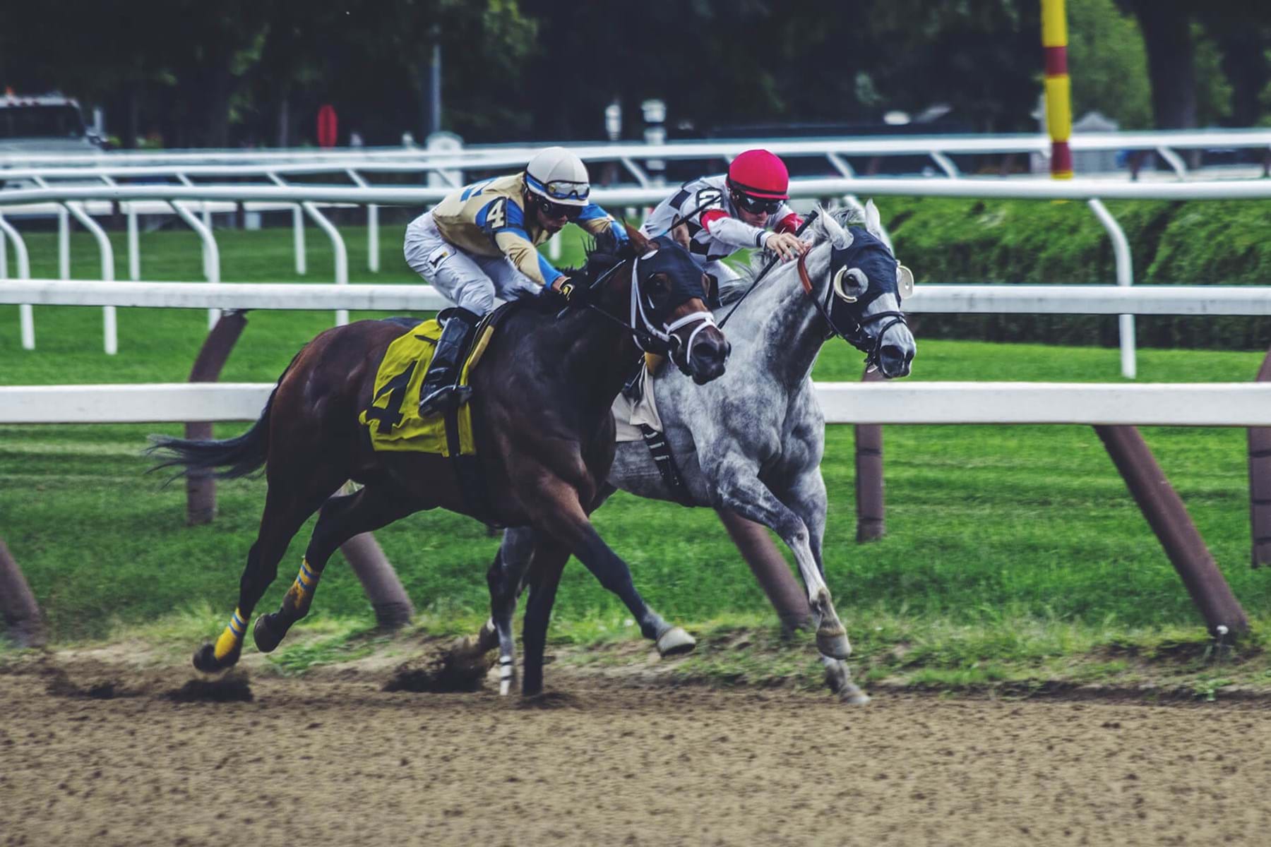HorseTrader
