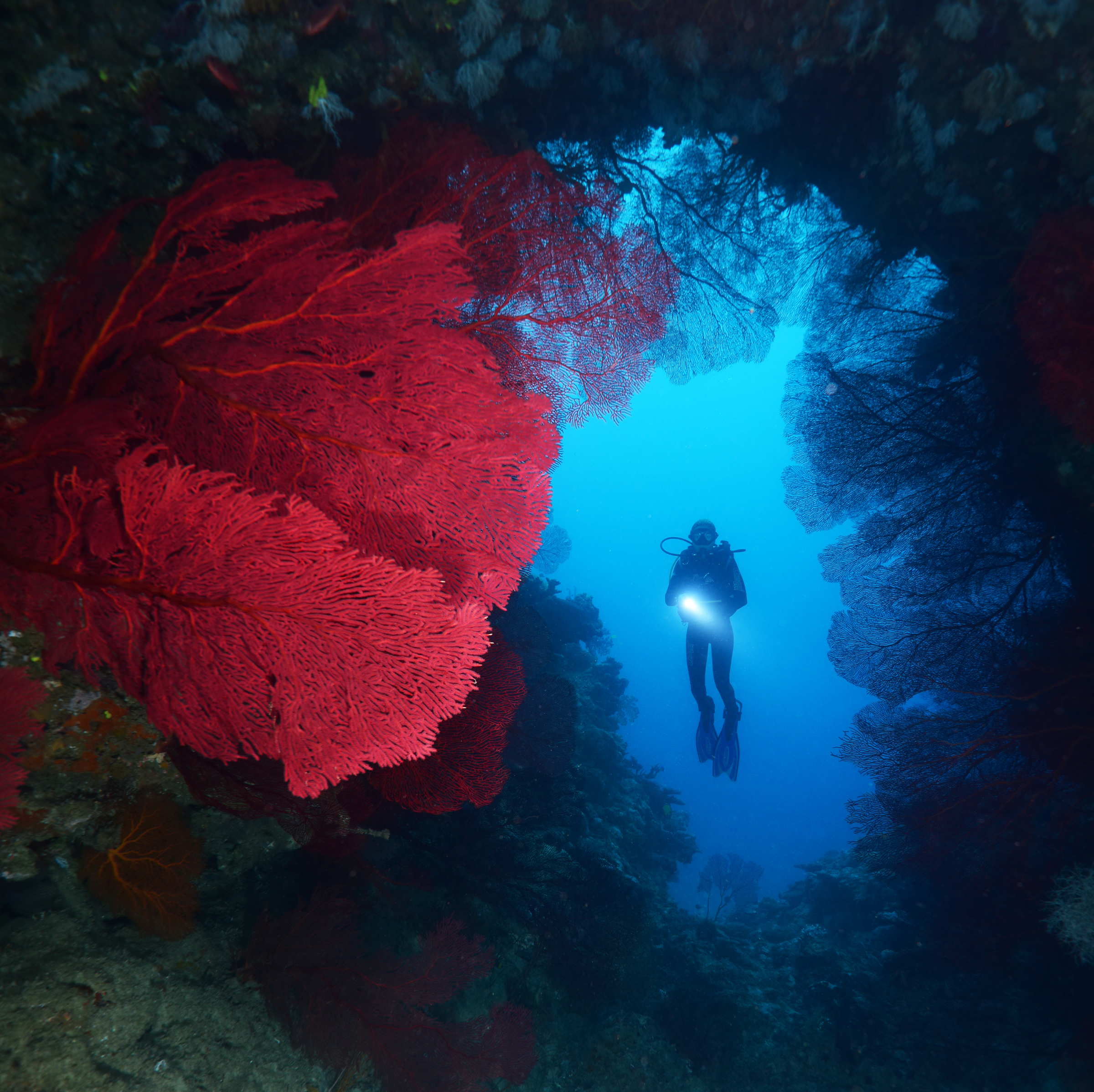 Bosey Slater Photography