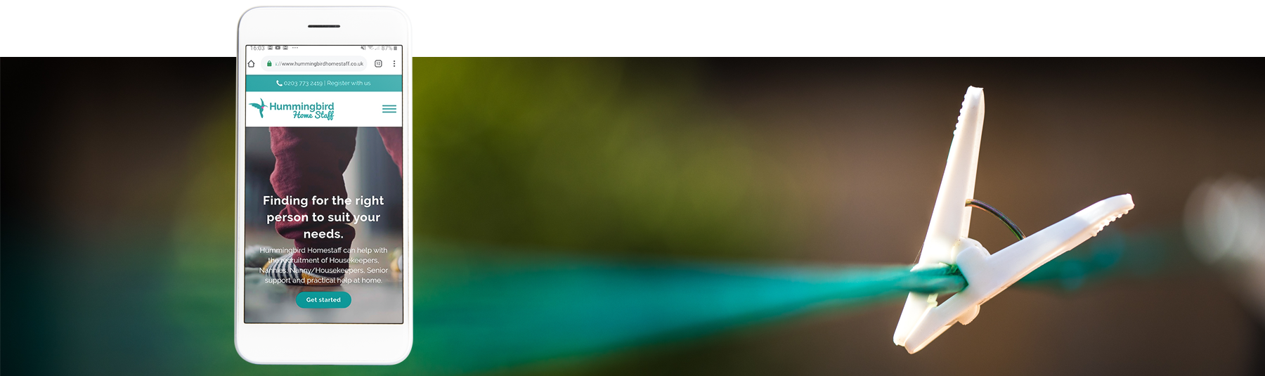 Hummingbird Washing Line